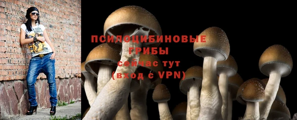 каннабис Алексеевка