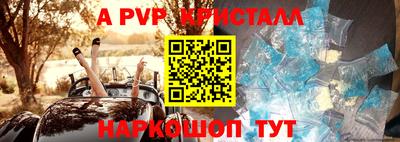 ECSTASY Донской