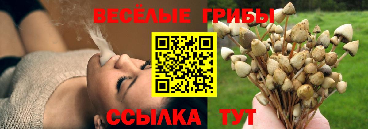 Псилоцибиновые грибы мухоморы Людиново